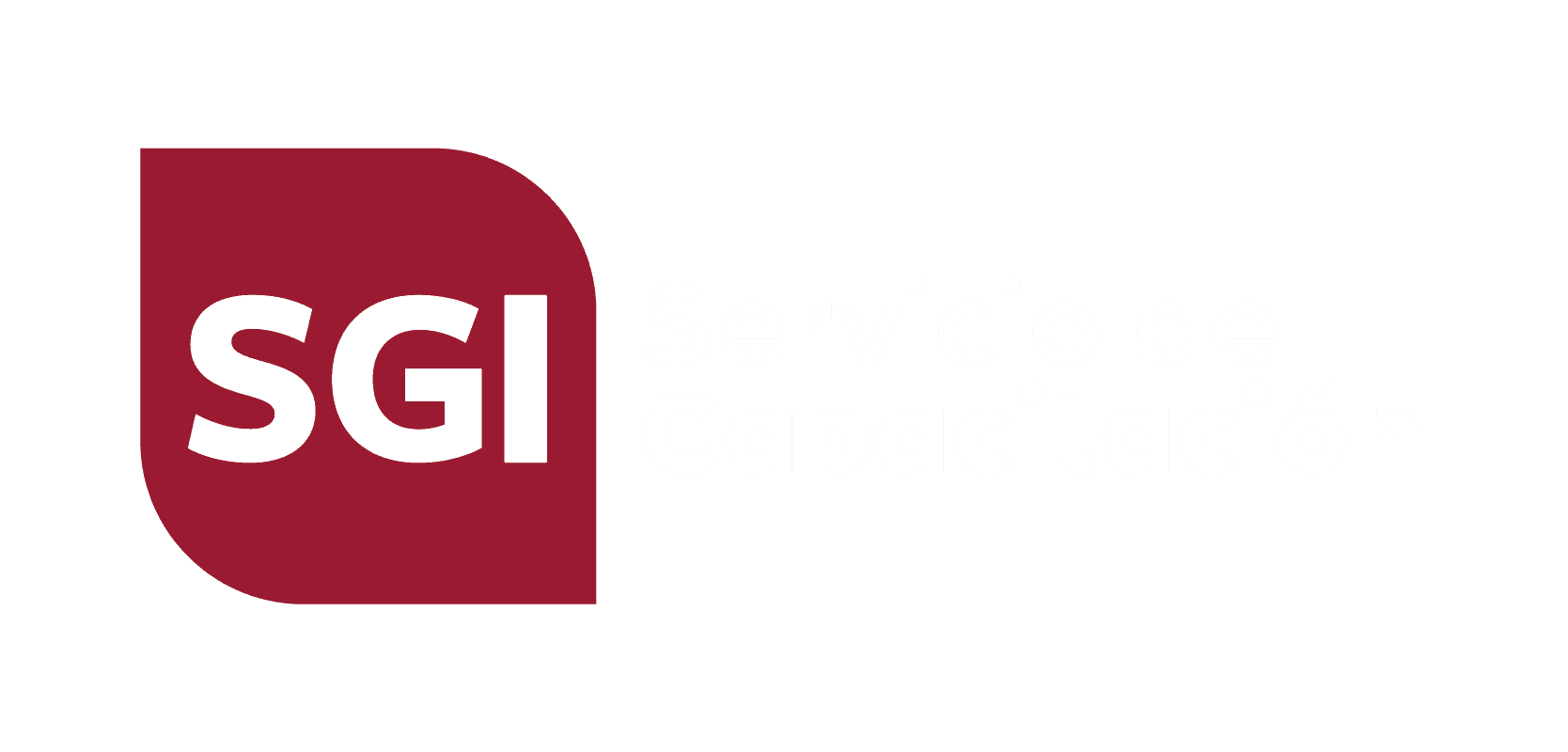 Servicios de Capacitación SGI Group